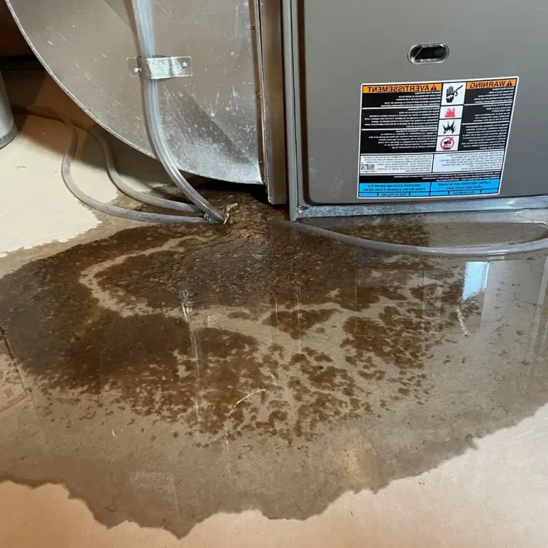 Pipe Burst and Leak Restoration in Kanabec County, MN